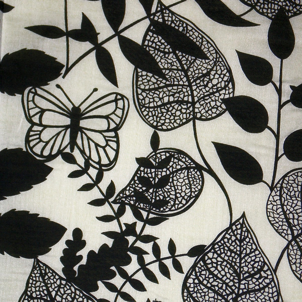 [black-butterflies.jpg]