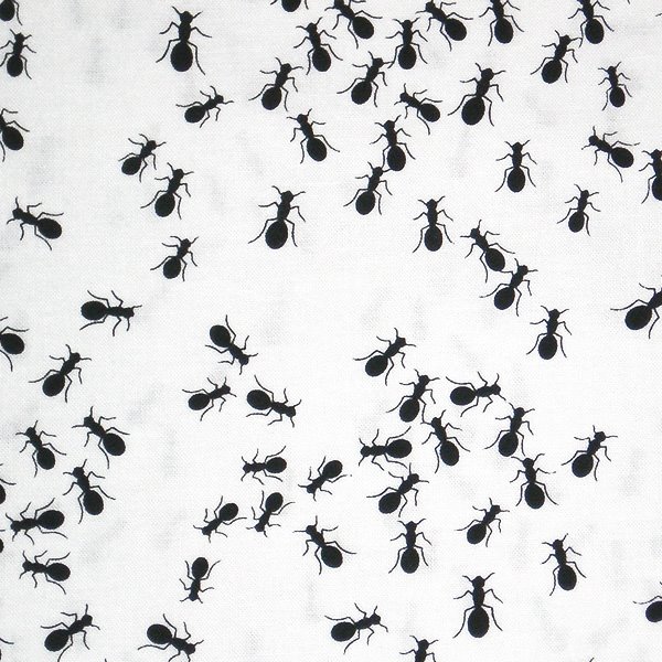 [ants.jpg]