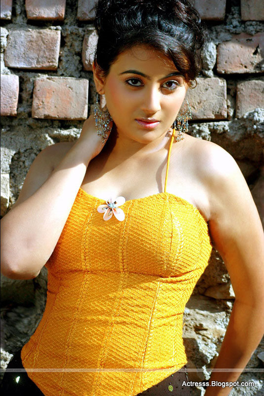 Kingdom Of Photo Albums Actress Aarti Hot Stills