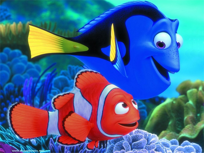 living-the-cfs-life-lessons-from-nemo