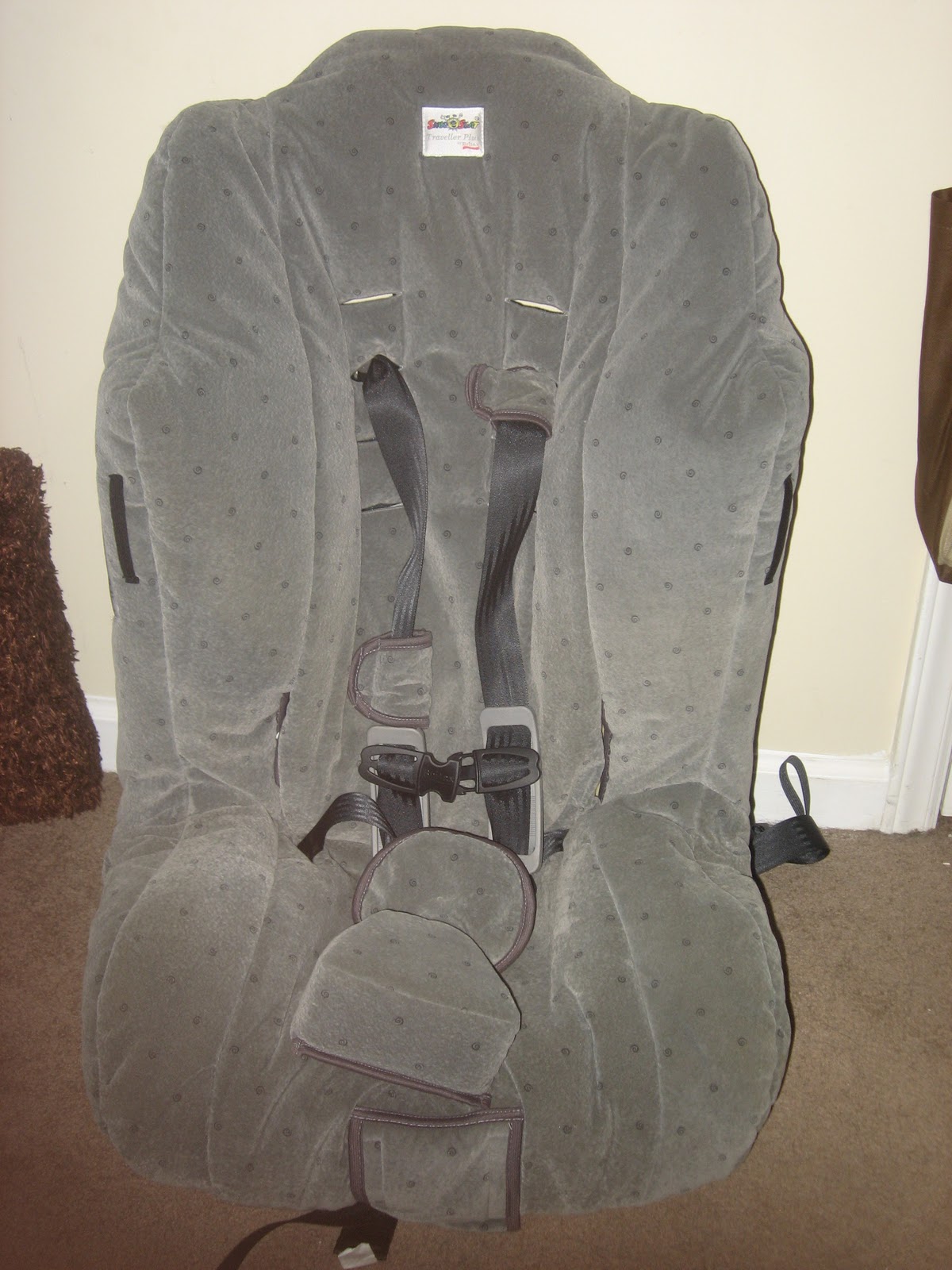 My Beautiful Child Griffin & Autism Britax Car Seat