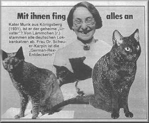 German Rex cats and the founder of the breed doctor Rose