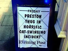 cat cruelty in the UK