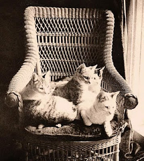 Mark Twain's cats