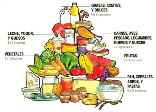 Piramide De Nutricion