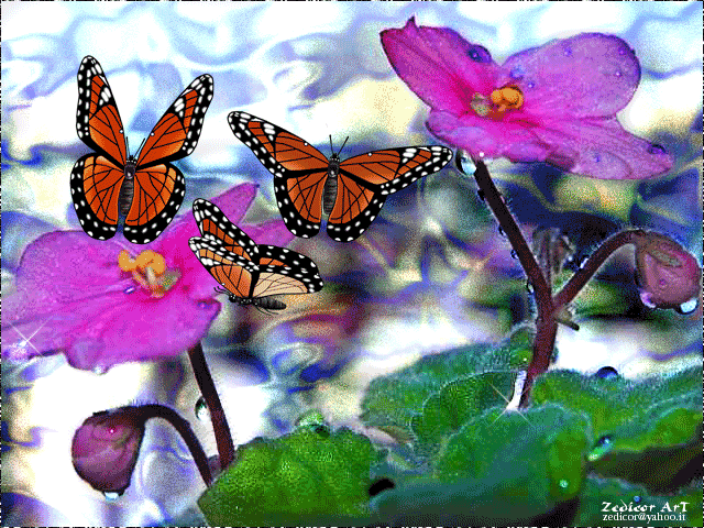 scrapsweb_borboletas-496662.gif