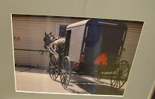 Jean Kavanek's entry