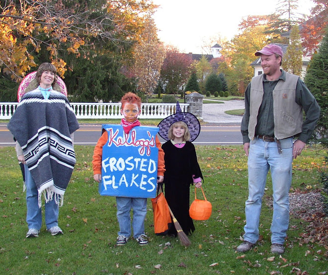 29 cropped Vickstroms