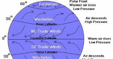 The Running Scientist: Global and Local Winds,