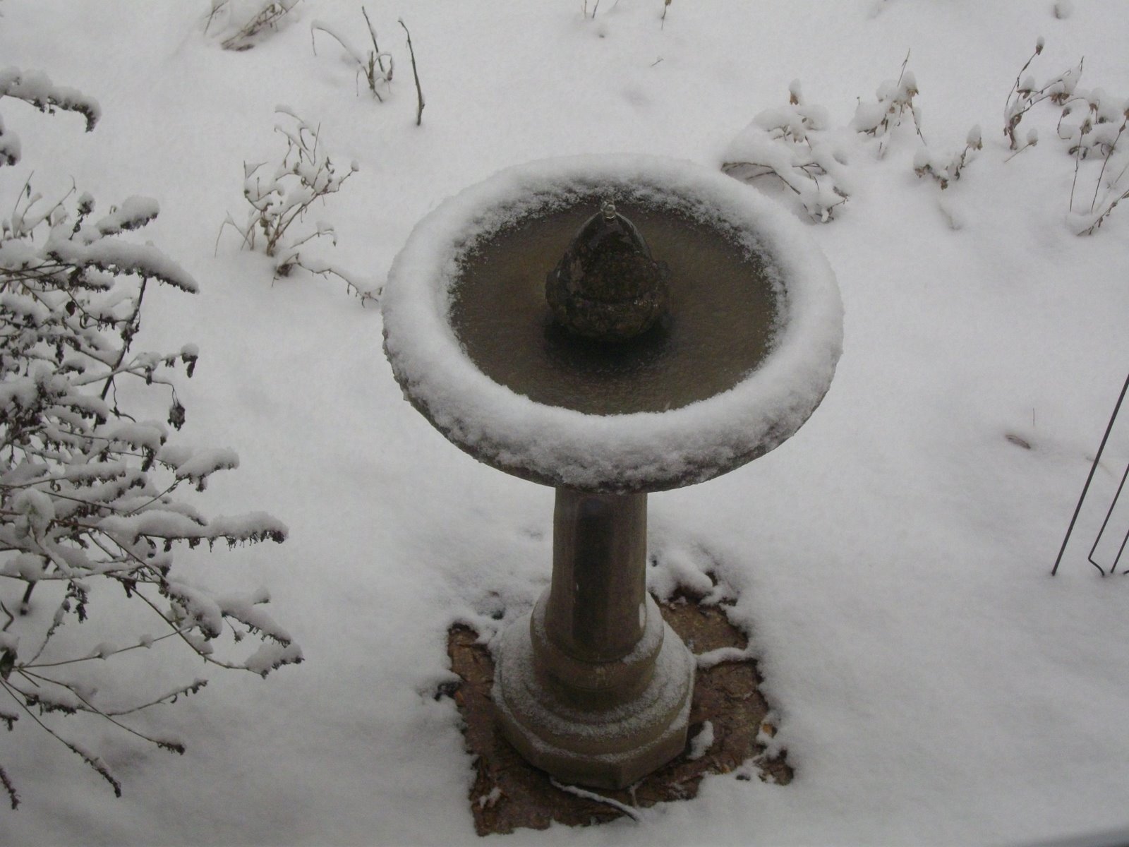 [Fountain+in+the+Snow++1-20-09+004.jpg]