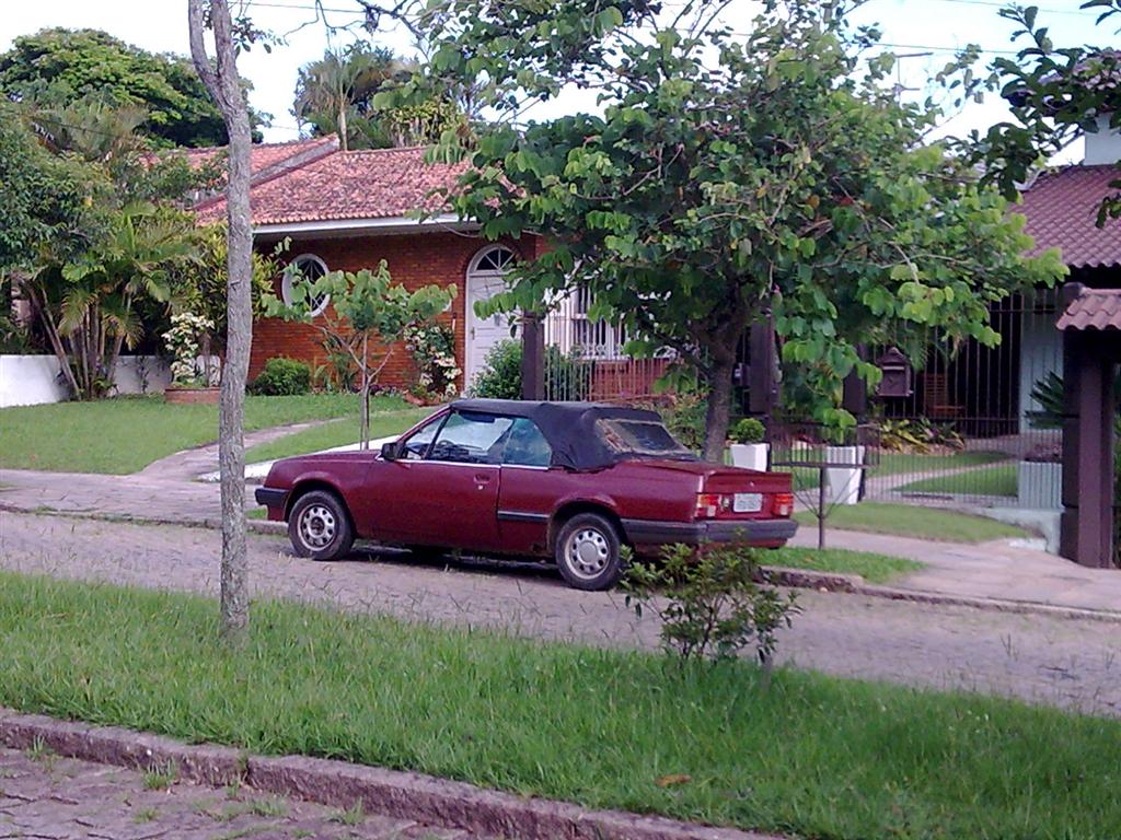 [2010-01-12+(19)+(Large)]