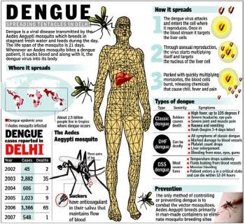 Dengue Manual de Enfermagem – Adulto e Criança