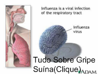 Protocolo de Manejo Clínico e Vigilância Epidemiológica da Influenza – Versão II . (Atualizado em 15.07.2009)