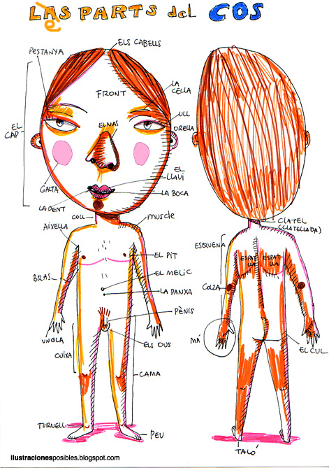 Ver las imágenes de origen