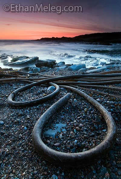 [PointLobos_EMELEG_9585.jpg]