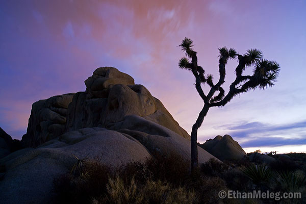 [JoshuaTree_JumboRocks_EMELEG_7635.jpg]