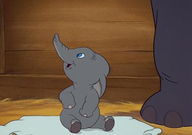Jumbo Rocking Dumbo Confessions Of A Lost Girl