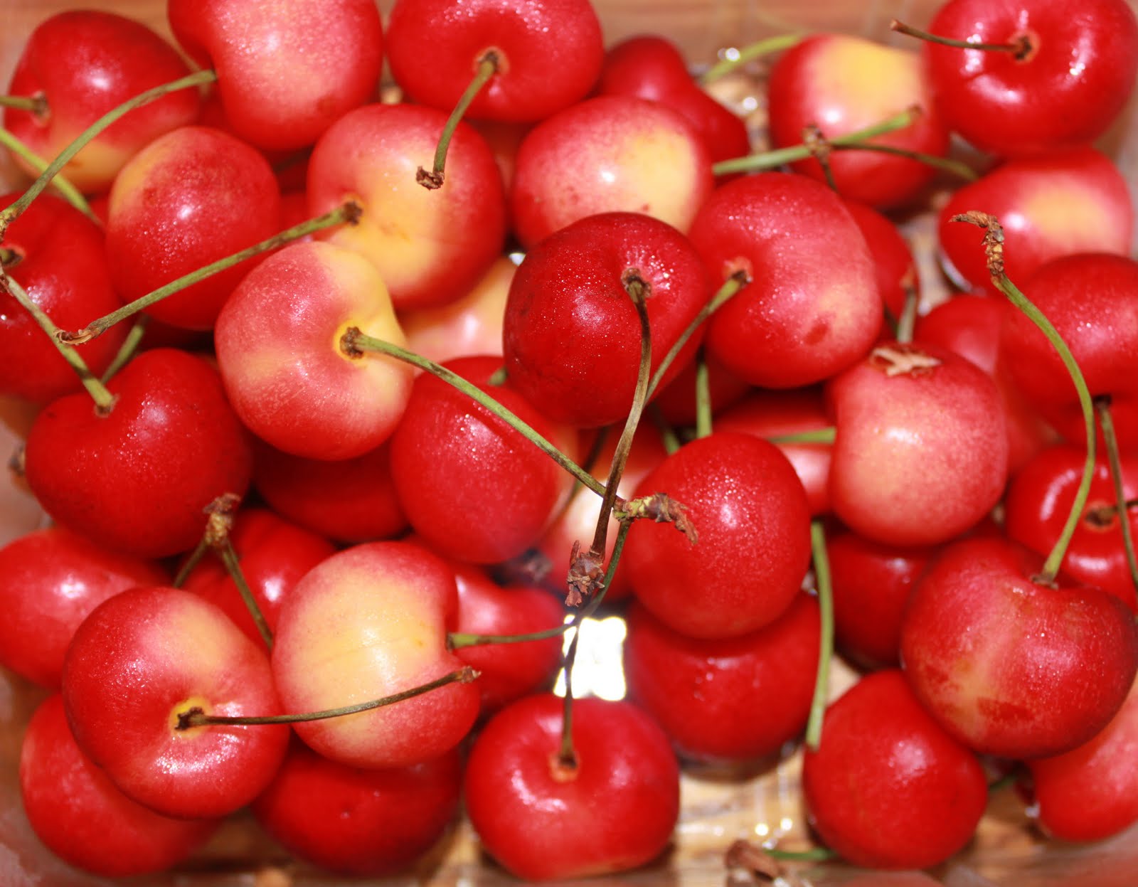Rainier Cherry Muffins or Rainier Cherry Cobbler Recipe What's Cookin