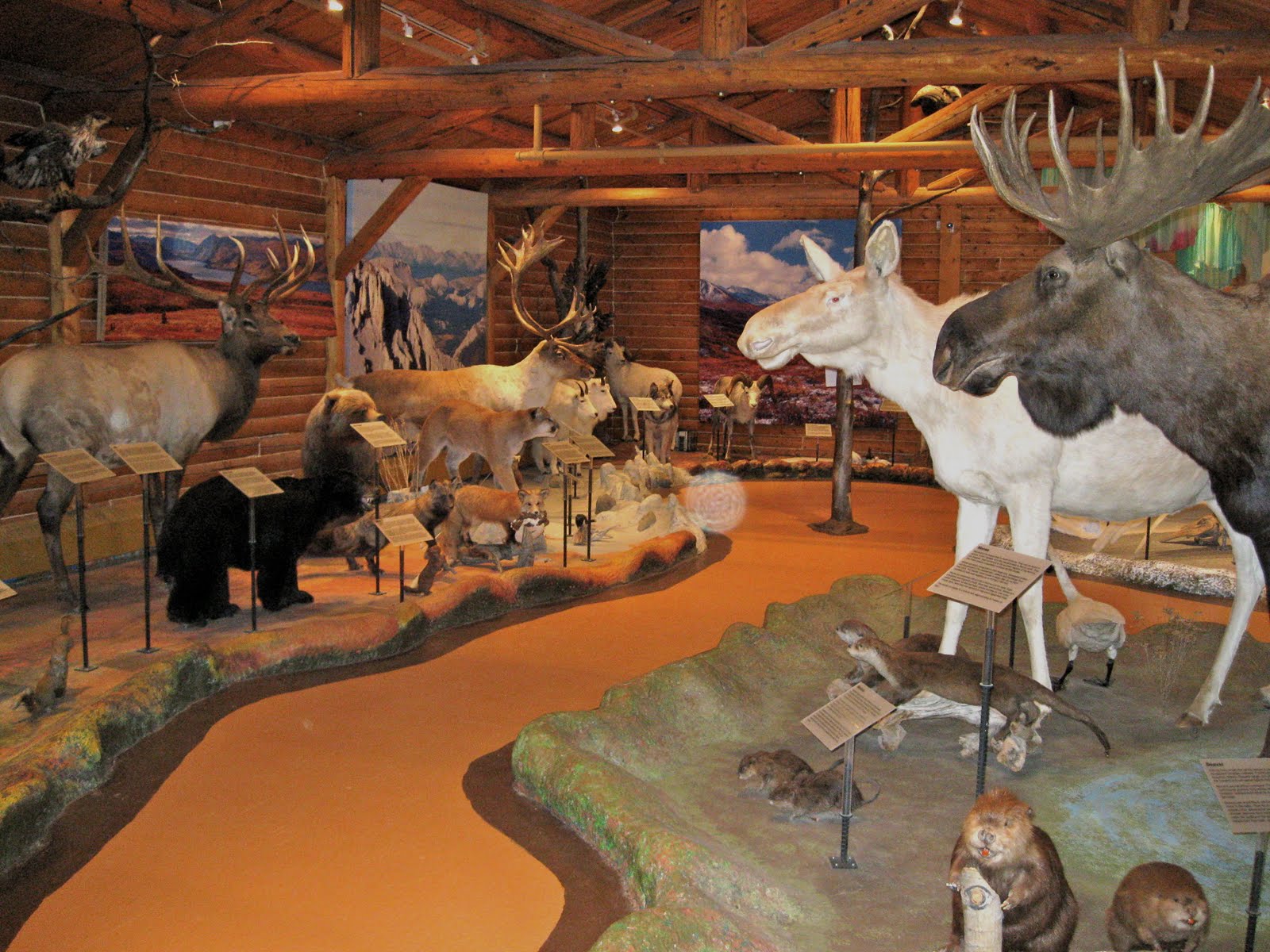 Highway To Adventure McBride Museum of Yukon History