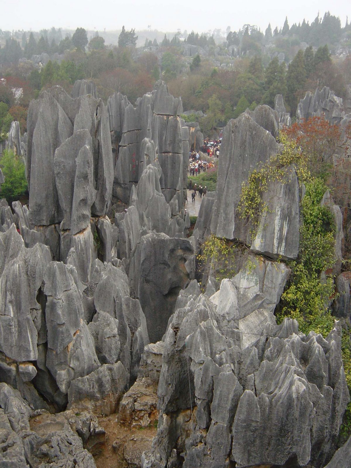 парк шилинь китай