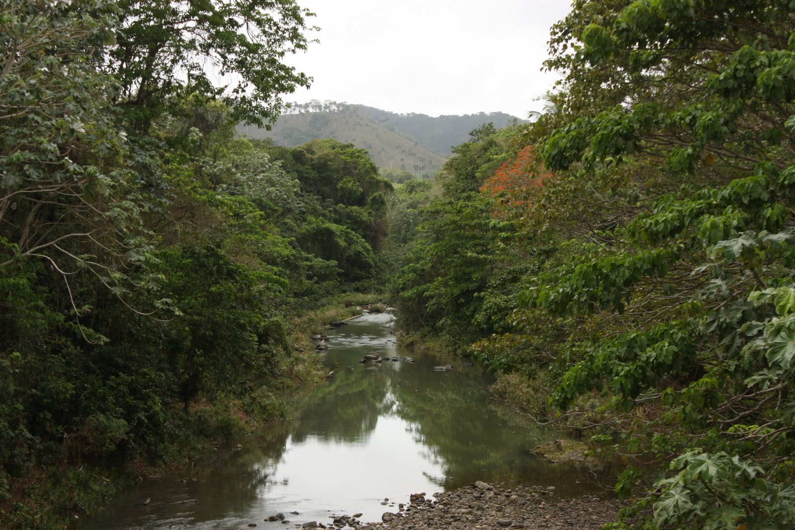 The World In A Bag Dominican Republic, April 2010