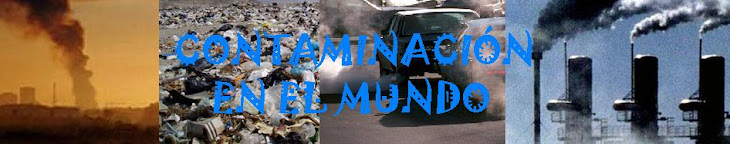 Contaminacion Ambiental