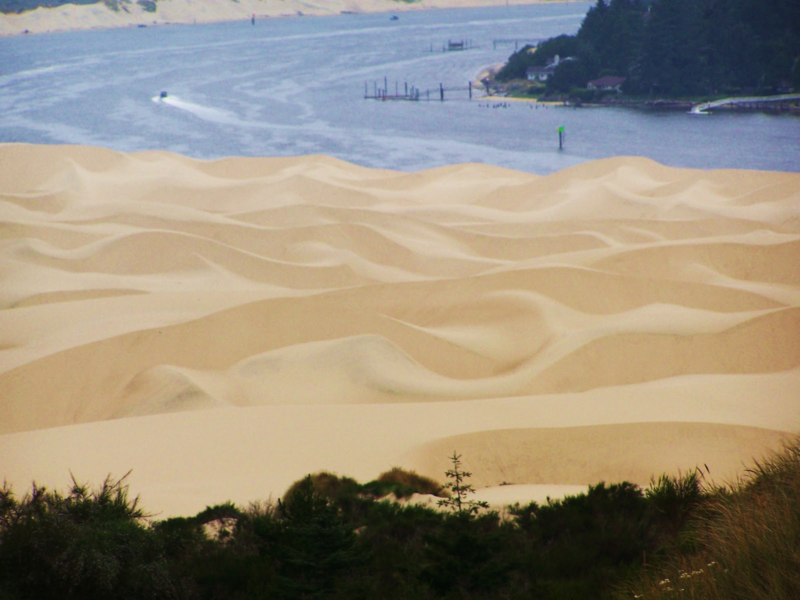 My Arts, Crafts, and Projects Florence Beaches and Dunes