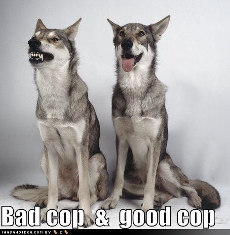[funny-dog-pictures-bad-cop-good-cop.jpg]