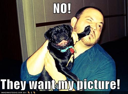 [funny-dog-pictures-they-want-my-picture.jpg]