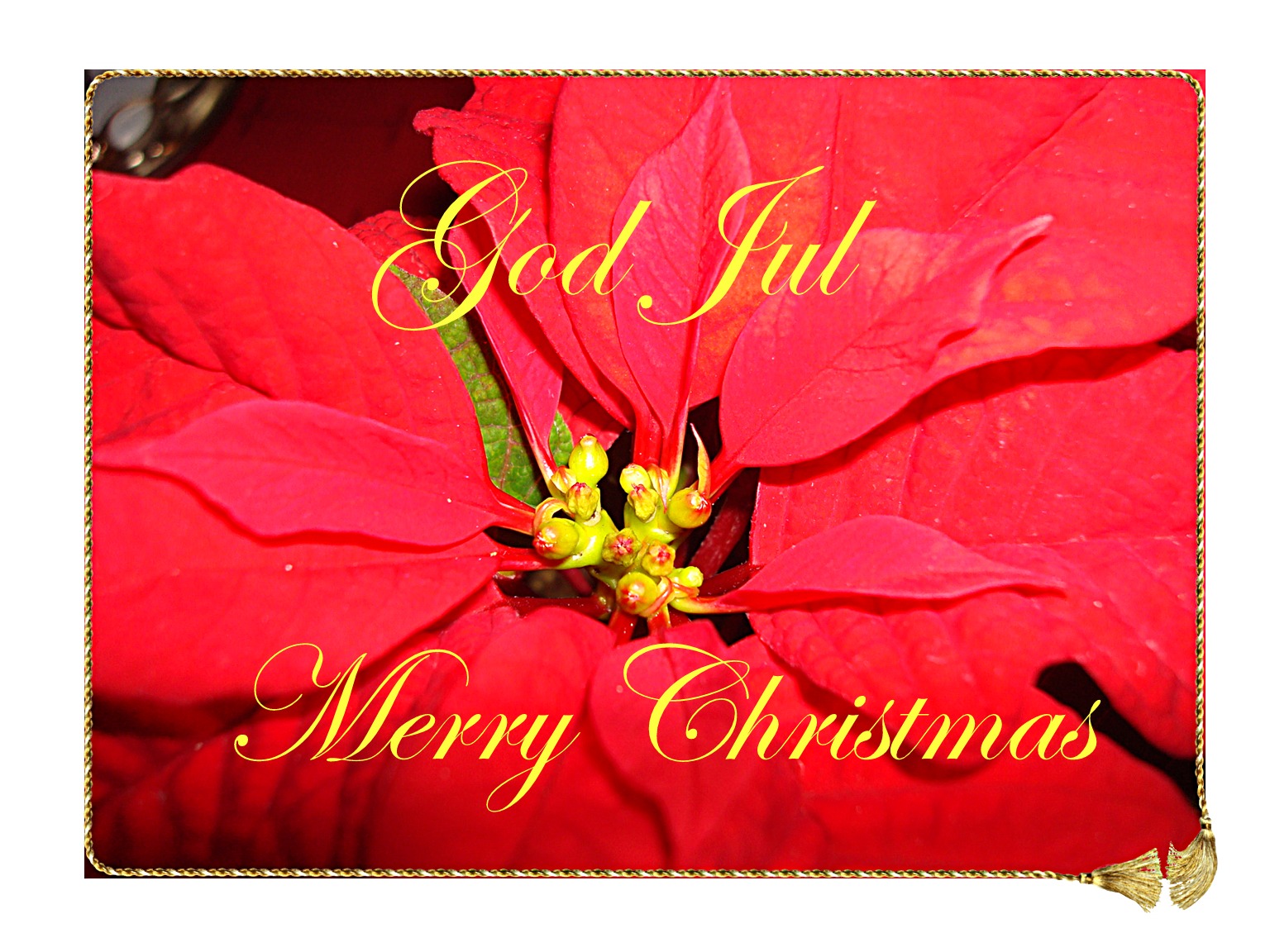 Petit Eyekiss God Jul / Merry Christmas