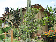 Our bungalow