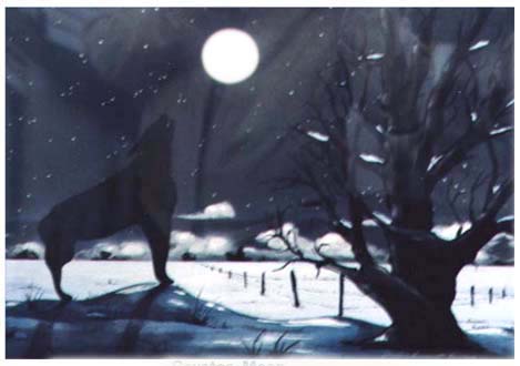 coyotes moon