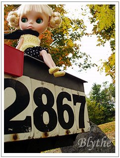 [1455e9b87750d5.jpg]