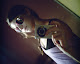 Minha foto