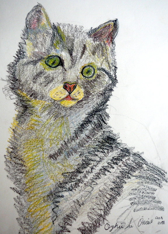 Öykü�nün fırçası Kedi