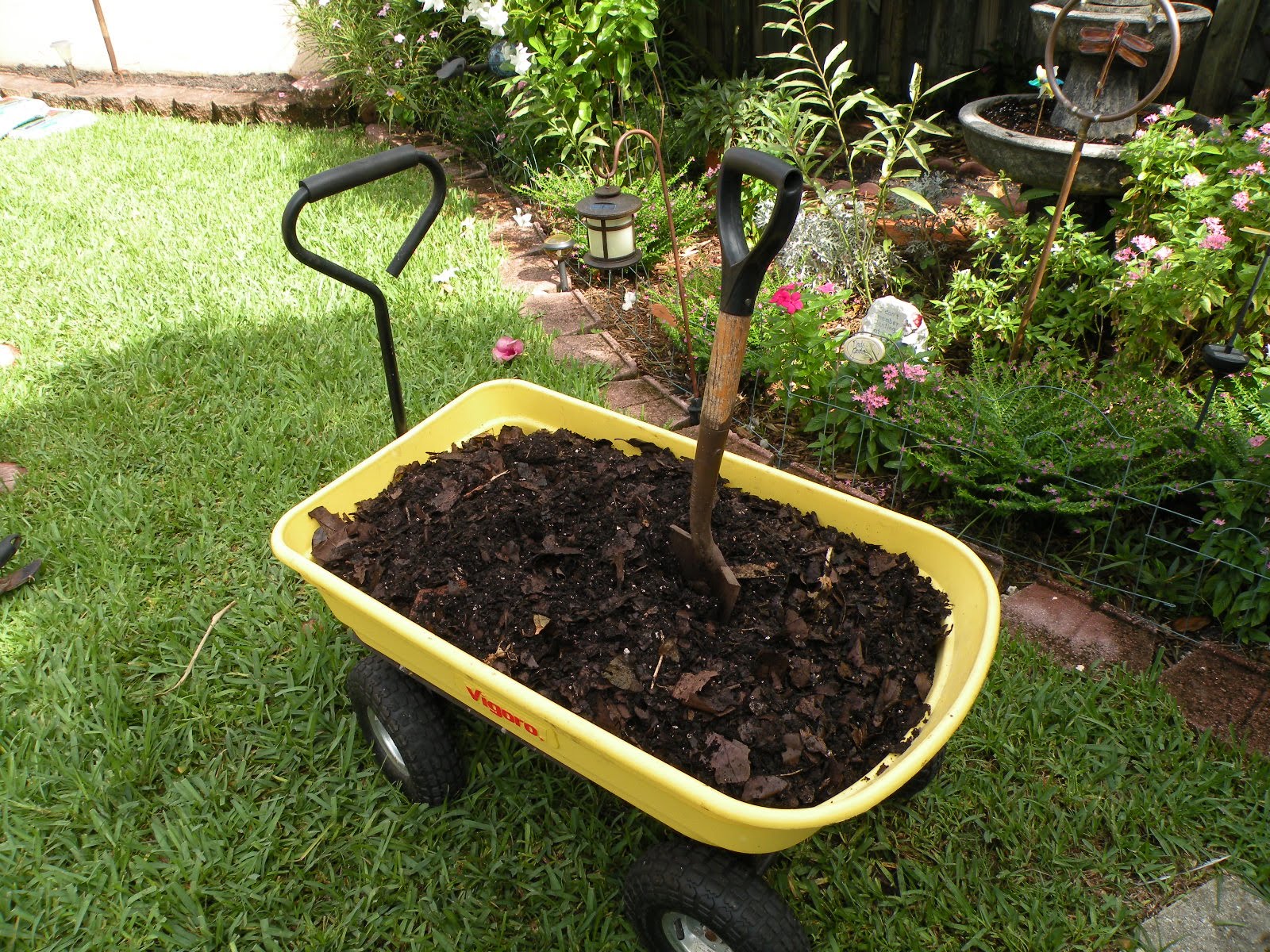 Vegetable garden ready for planting Garden Bronze