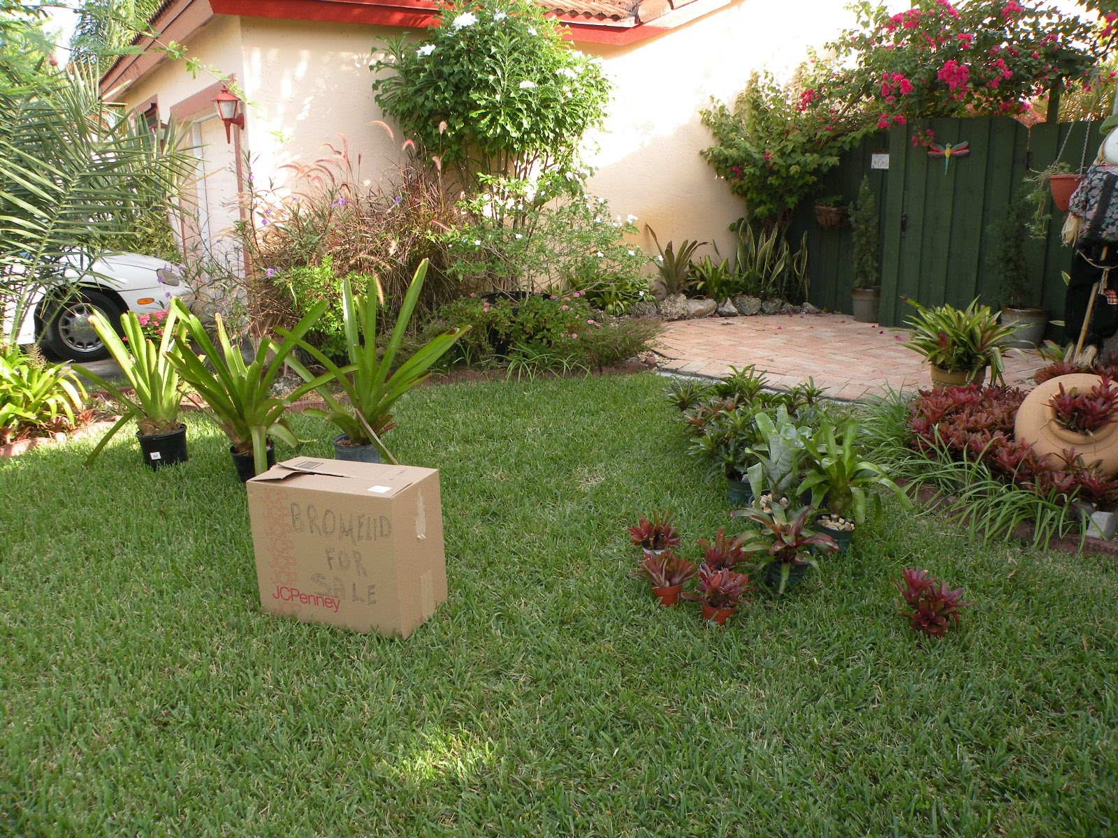 Dragonfly Garden Garage Sale Saturday