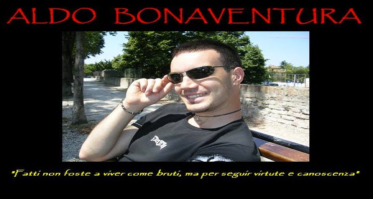 Il blog di Aldo Bonaventura