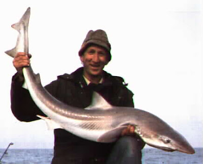 CIENCIAS RAQUEL: Cazón