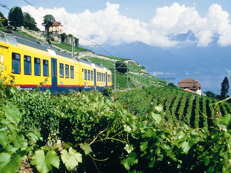 kryptisch