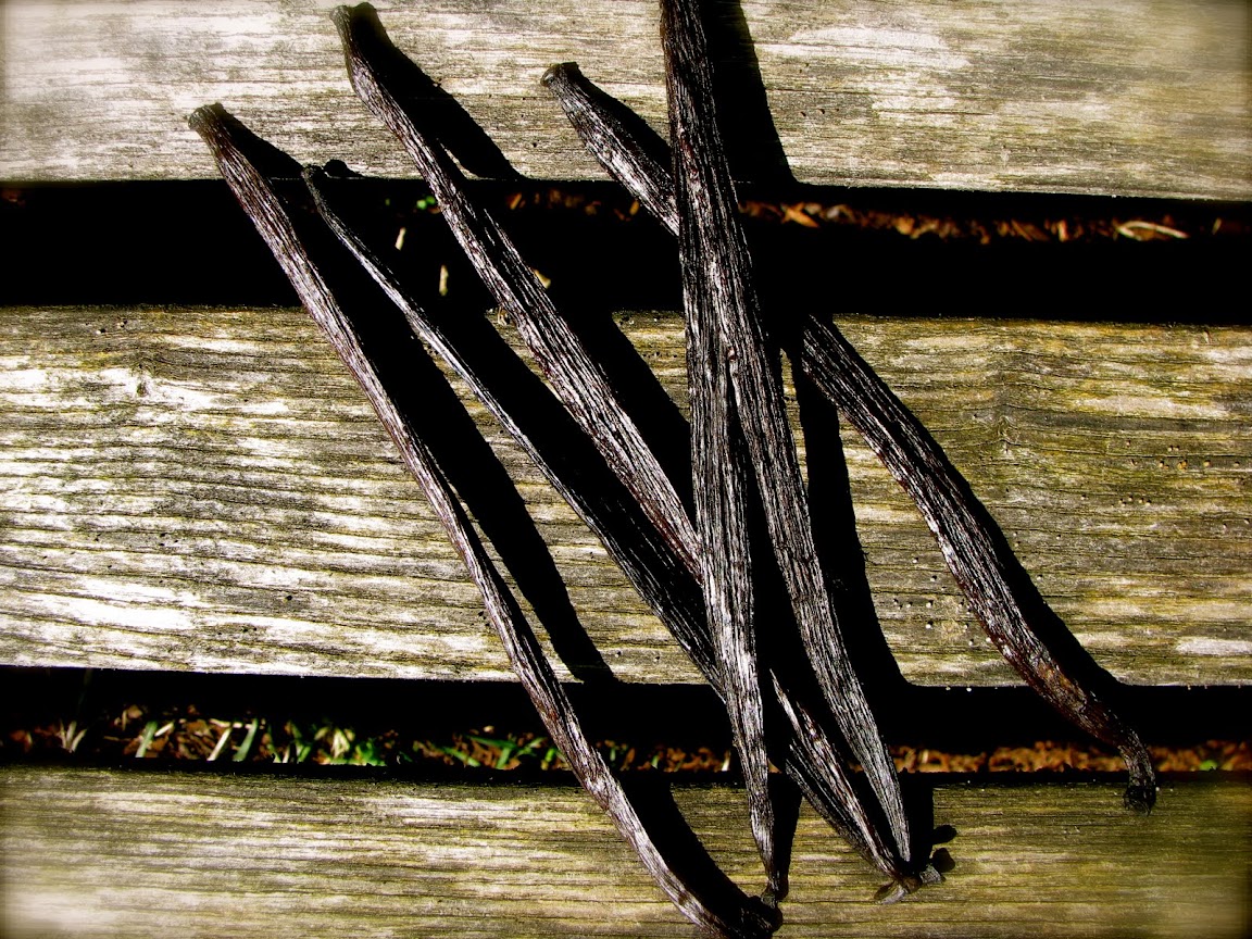 Sticks Forks Fingers