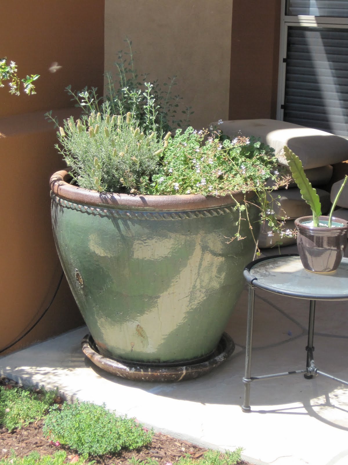 Wright in the Garden Renee Walter Backyard containers