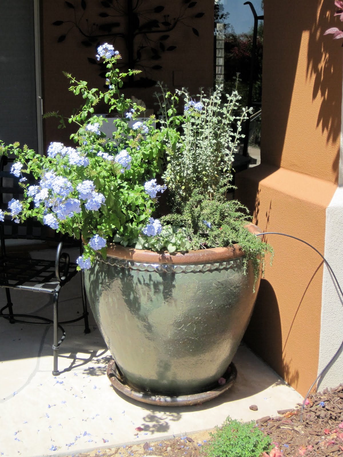 Wright in the Garden Renee Walter Backyard containers