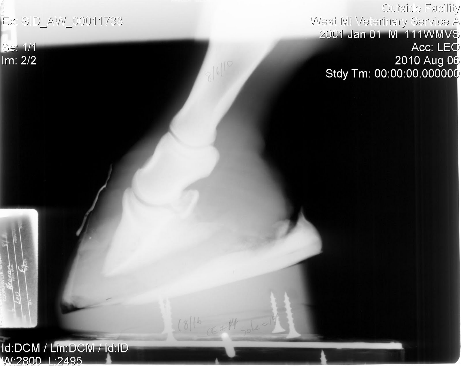 Founder Info for Horse Owners! Leo's Radiographs (aka xrays)