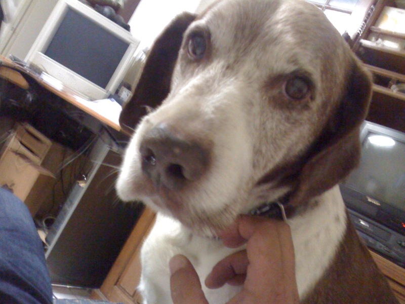 [fotografiajunior.jpg]