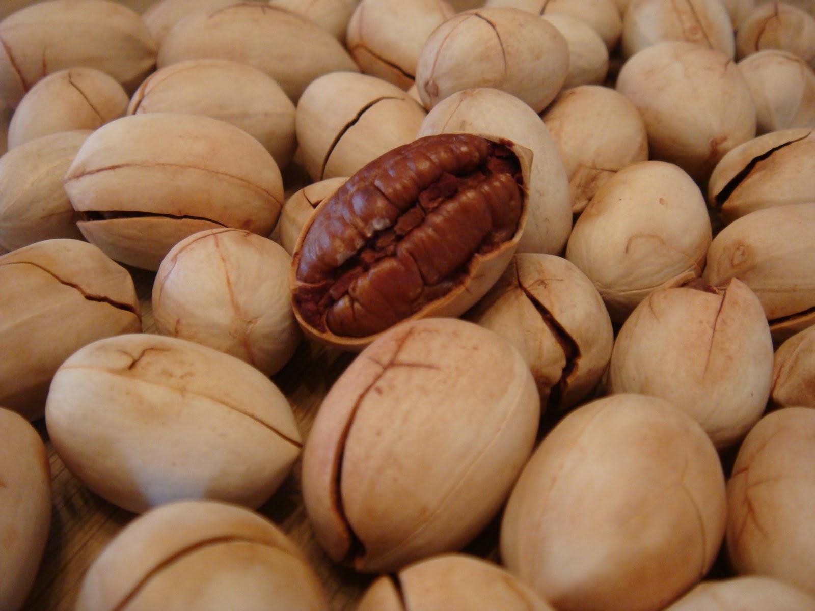 Cookiss Sheryl's Kitchen Pecan nut fresh from the shell