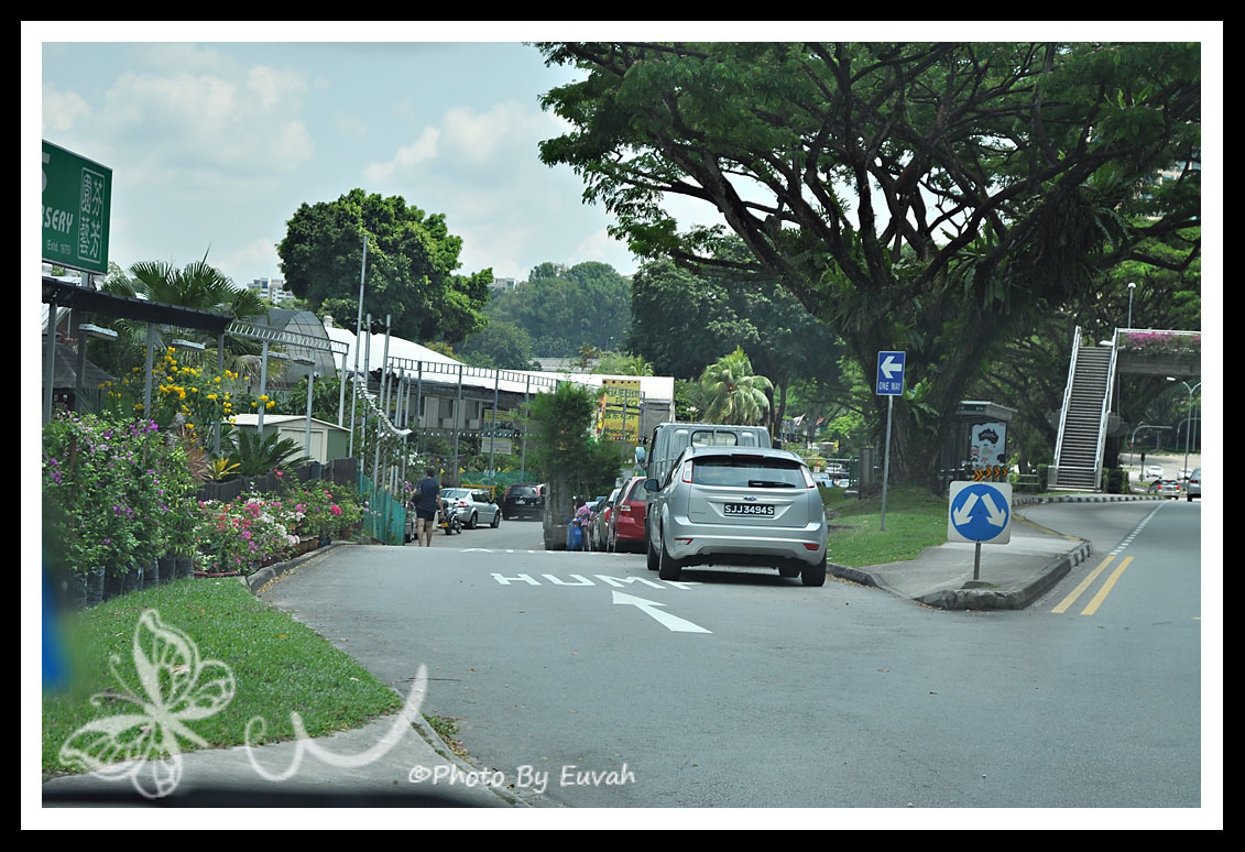 JustaClickin' Thompson Road Nurseries