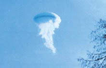 'Jellyfish' witness description of UFO significant?