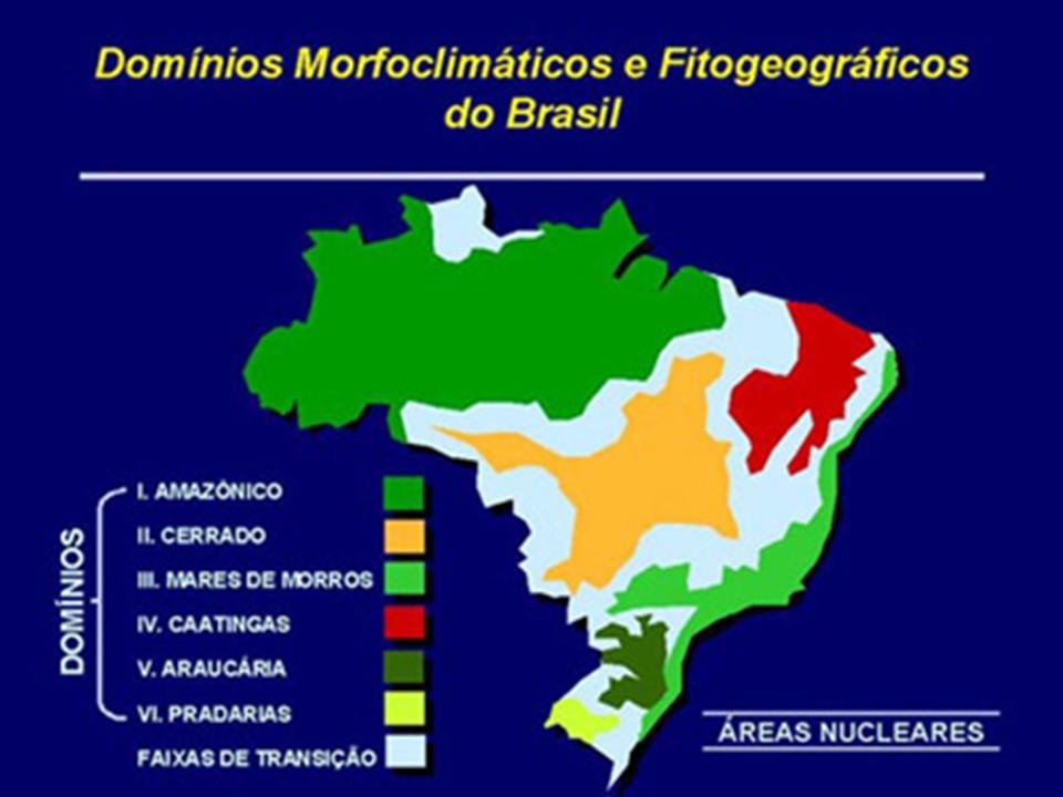 O Dominio Morfoclimatico Brasileiro Descrito Pelo Trecho Acima é O