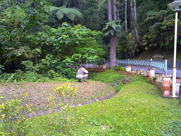 [Mager-Istana+Road.jpg]